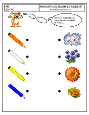 okul öncesi renkler çalışma sayfaları; renkleri eşleştirme çalışmaları